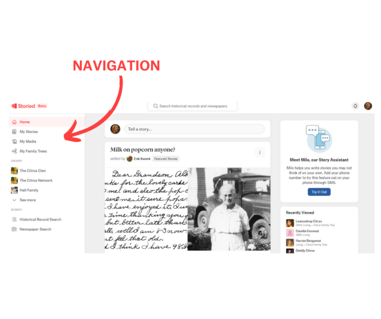 Image showing the location of the Navigation bar.